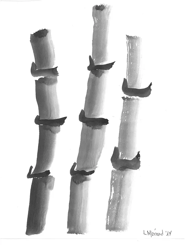 Bambú