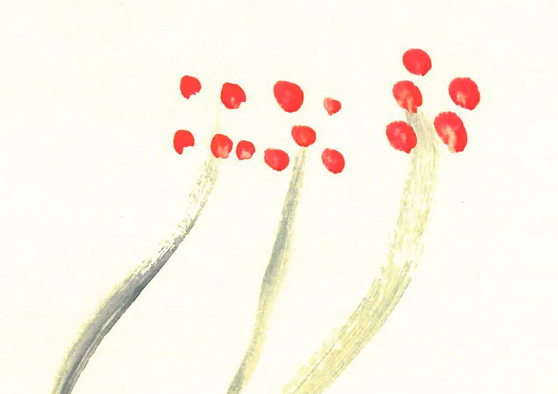 Waltz of the flowers